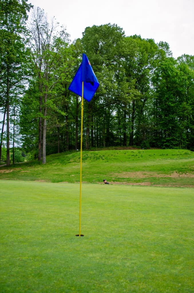 Golf Flag on the green 