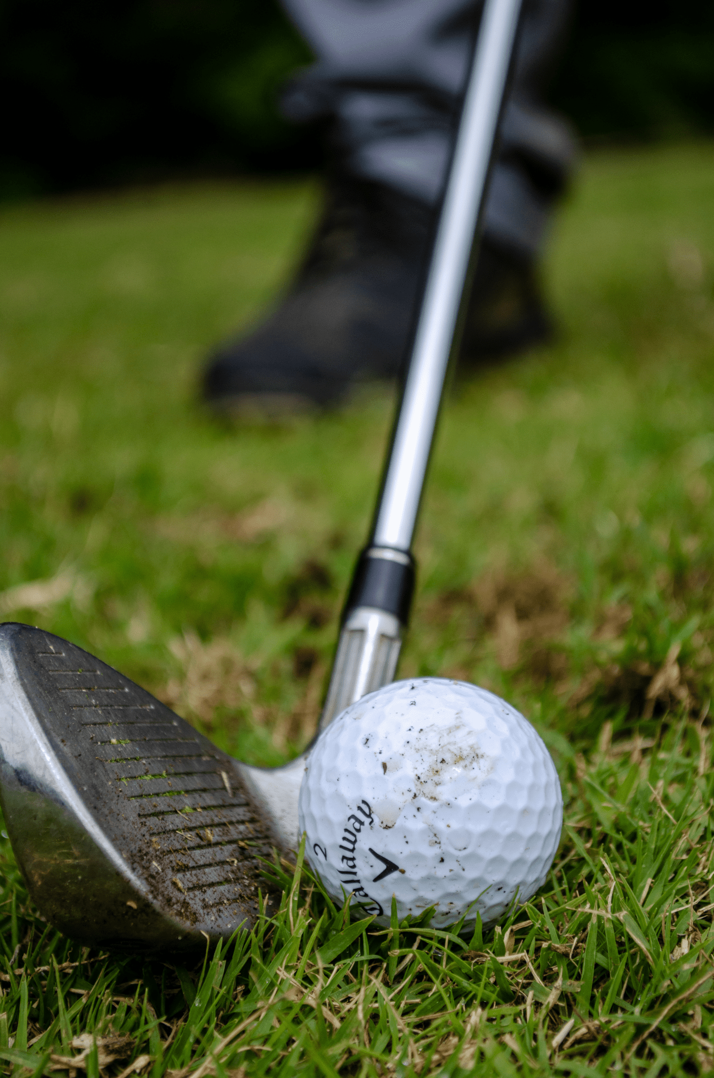 golf clubs hit a small golf ball and can cause golf injuries with a freak accident