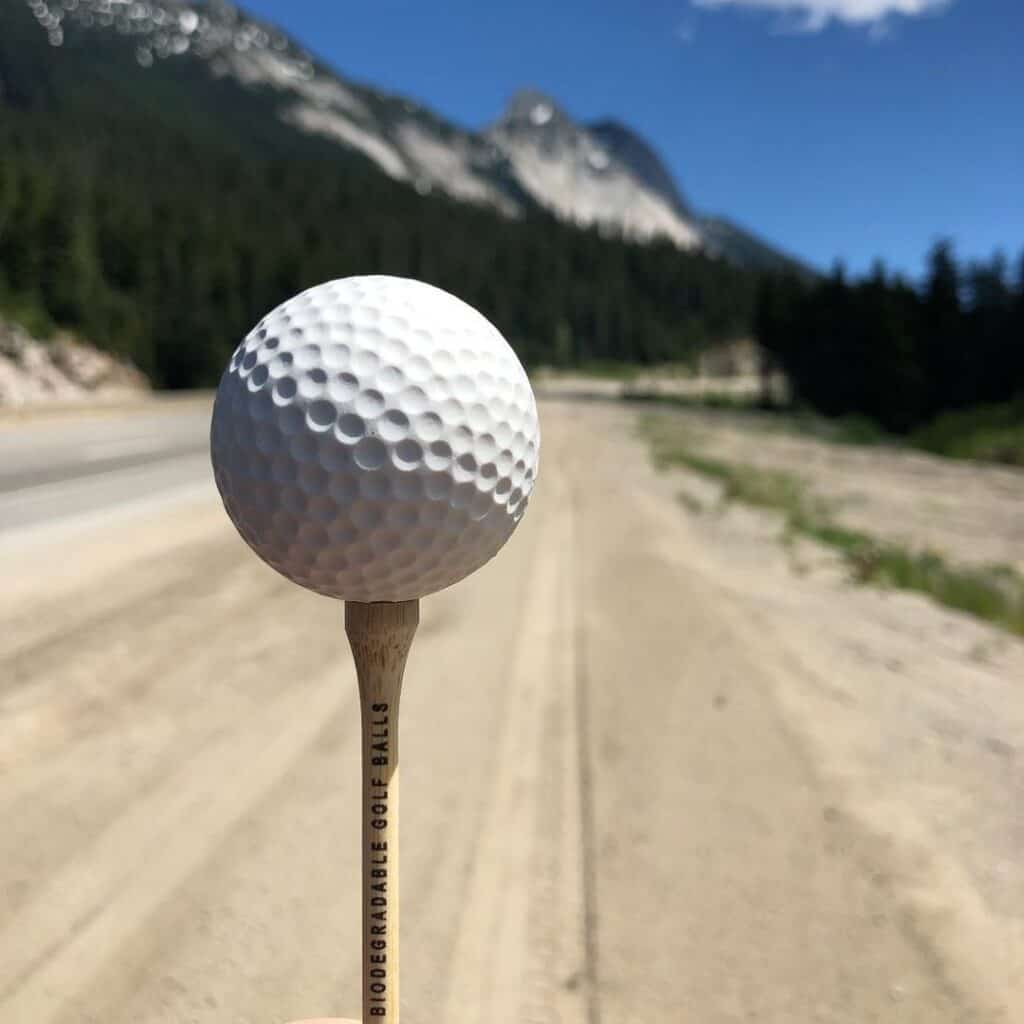 golf ball on a bamboo tee