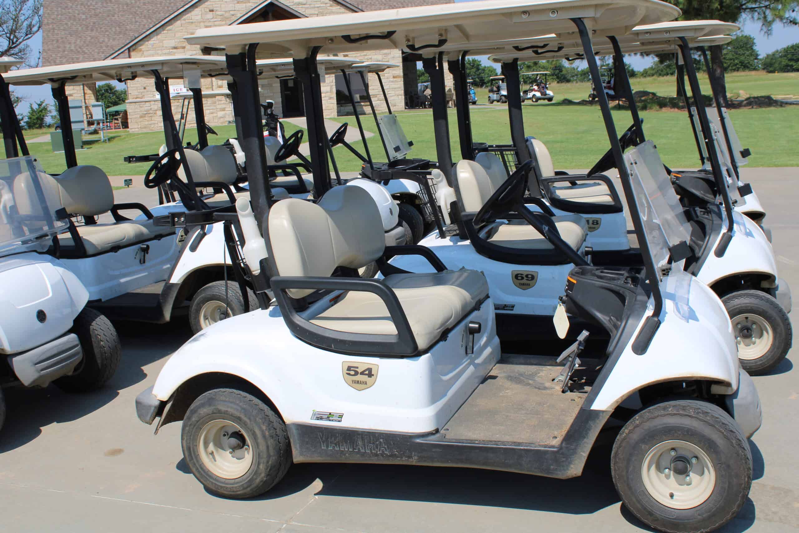 How Do Electric Golf Cart Motors Work?